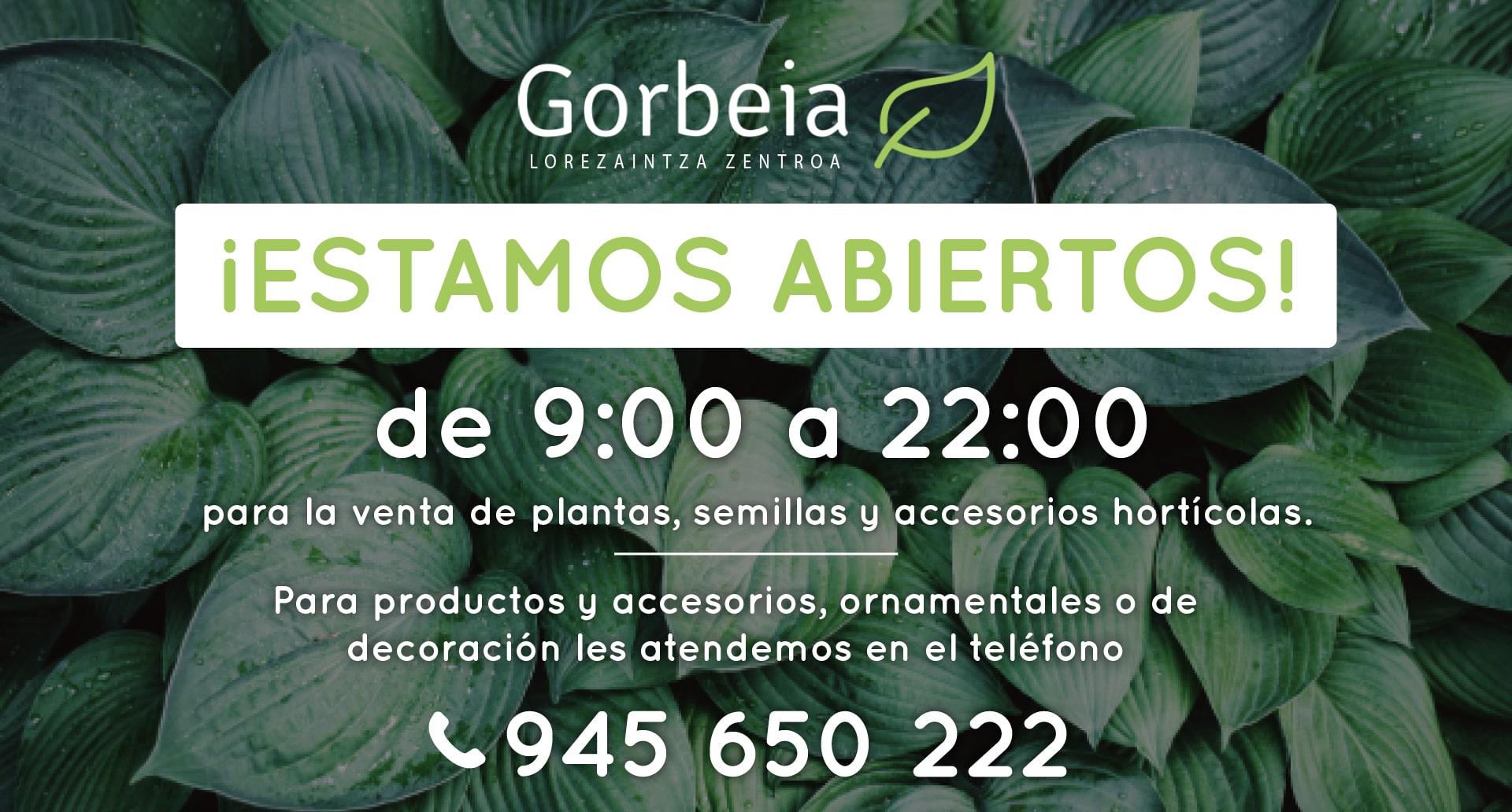 Home Centro Comercial Gorbeia